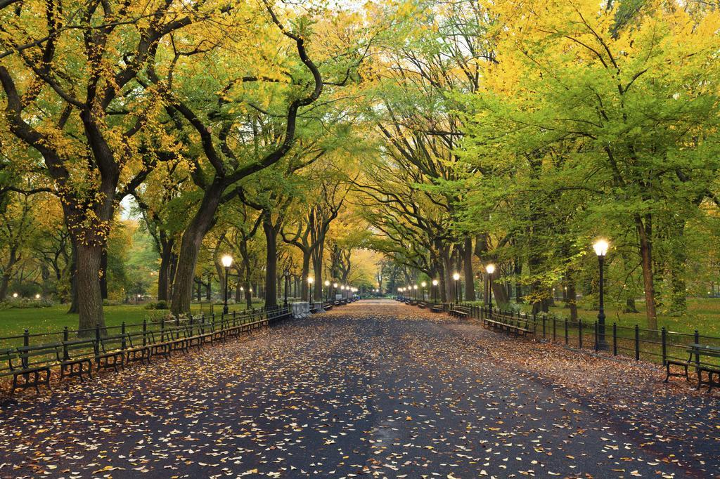 Hudson Central Park, A Morgans Hotel นิวยอร์ก ภายนอก รูปภาพ